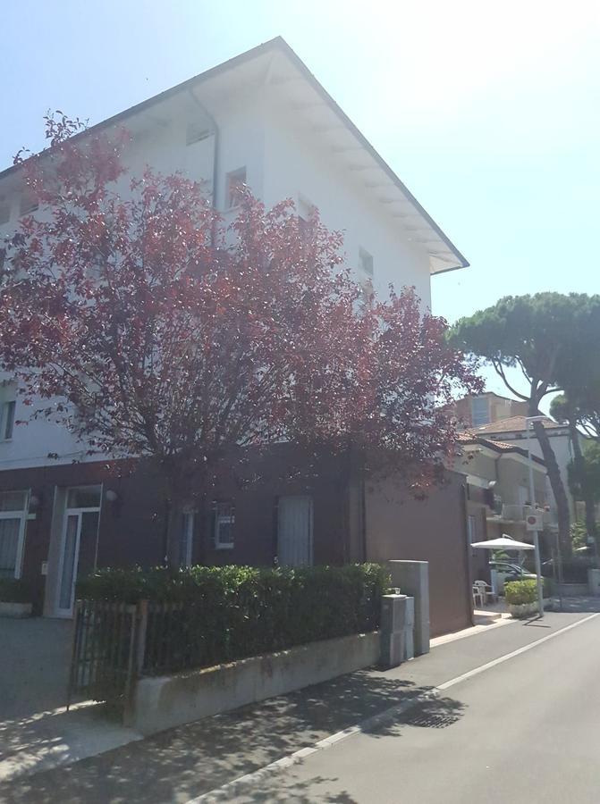 Hotel Byron Light Nuova Gestione 2024